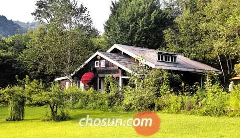 266DAE50588D619536F41F