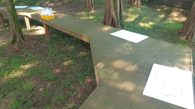 99D611495B4D8E6904F9DC