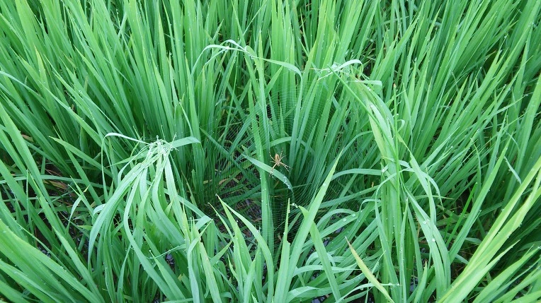 234EB74C579FEDBE0BA3F8