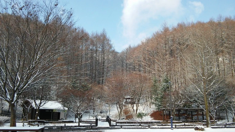 2609423A5656A5DD1D2A9E