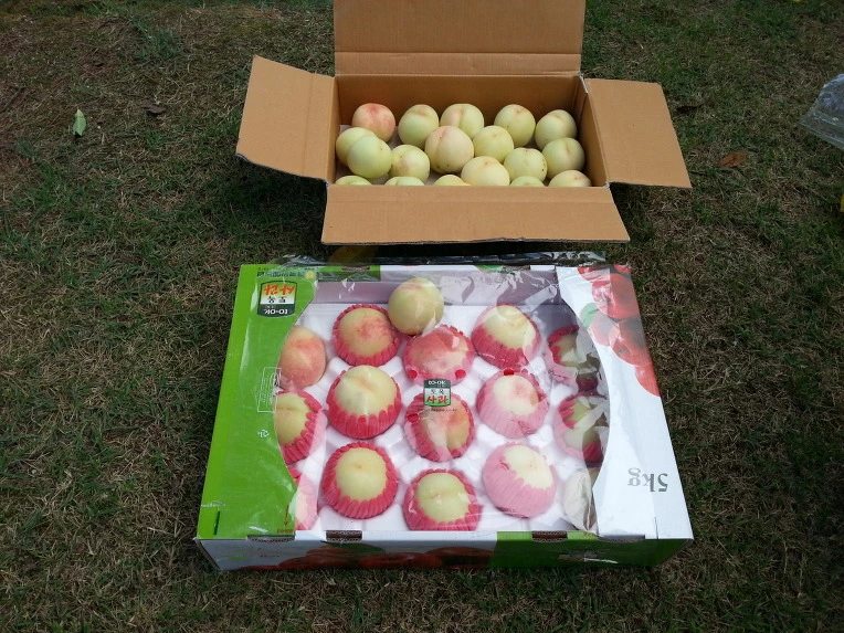 241C214753E9F23821D409