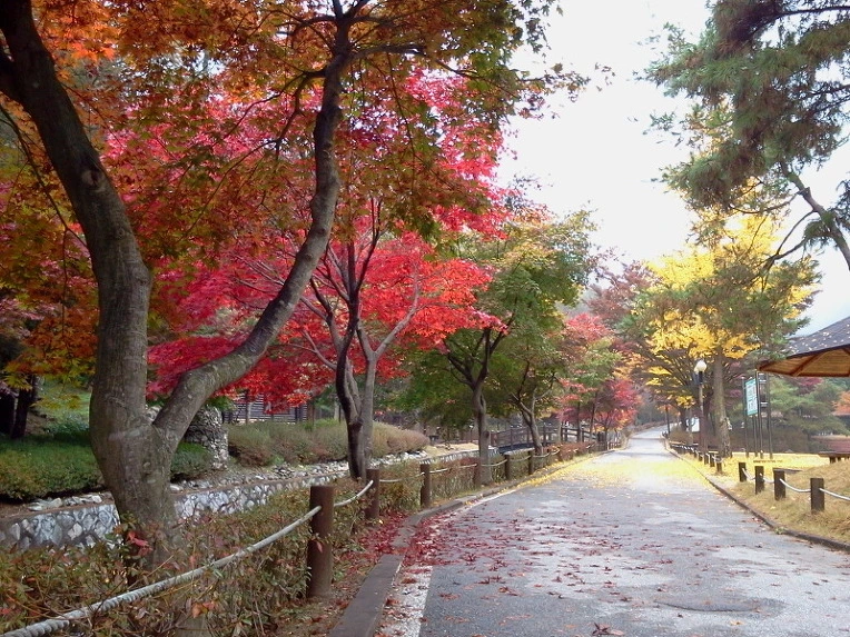 234164395424173B304B40