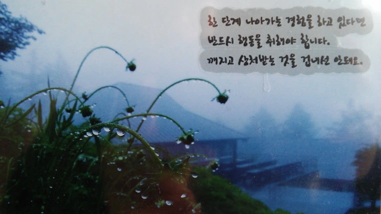 244AFF3B56E0B407239266