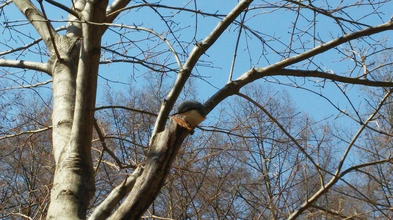 2701843C55013950269BF9