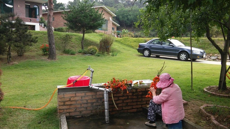 266B264757E767B40F6A00