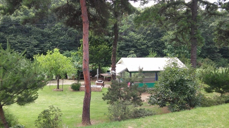 260DE548578C60782DB028