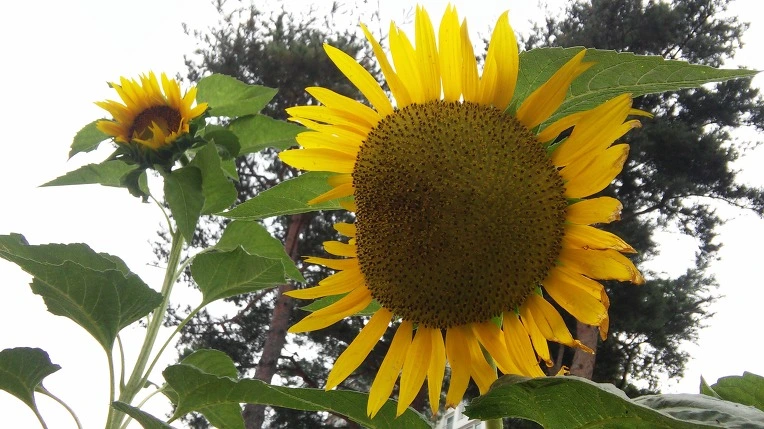 2207C73757D0B54A21977E