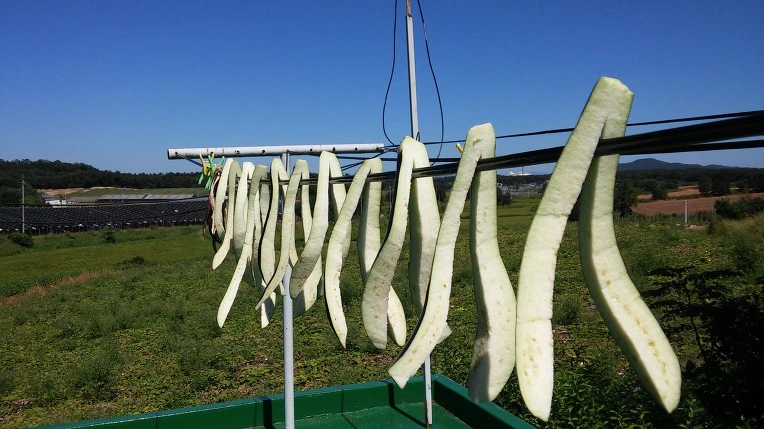 2113B23957C0FA5E2FA156