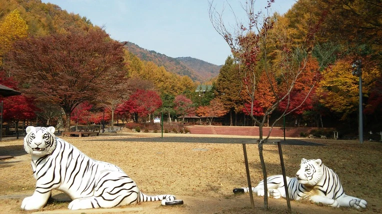 22450149563C46370B4D6A