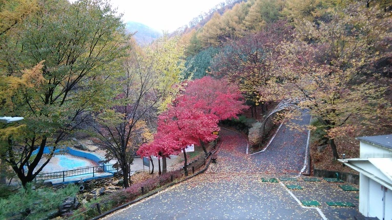 223FE533563D84DA0AB859