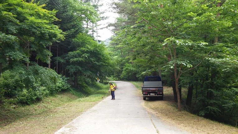 213F394D59596BF313B7E5