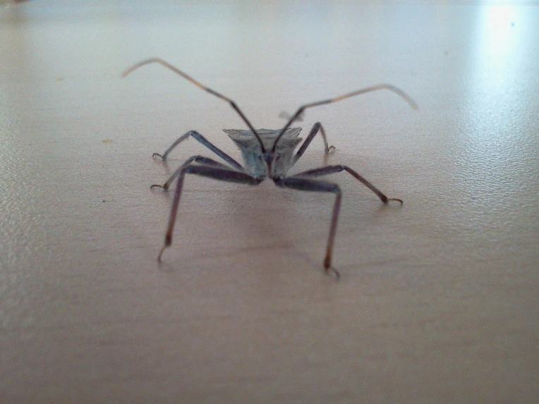 1528143E4F9E3C0A1ED7CA