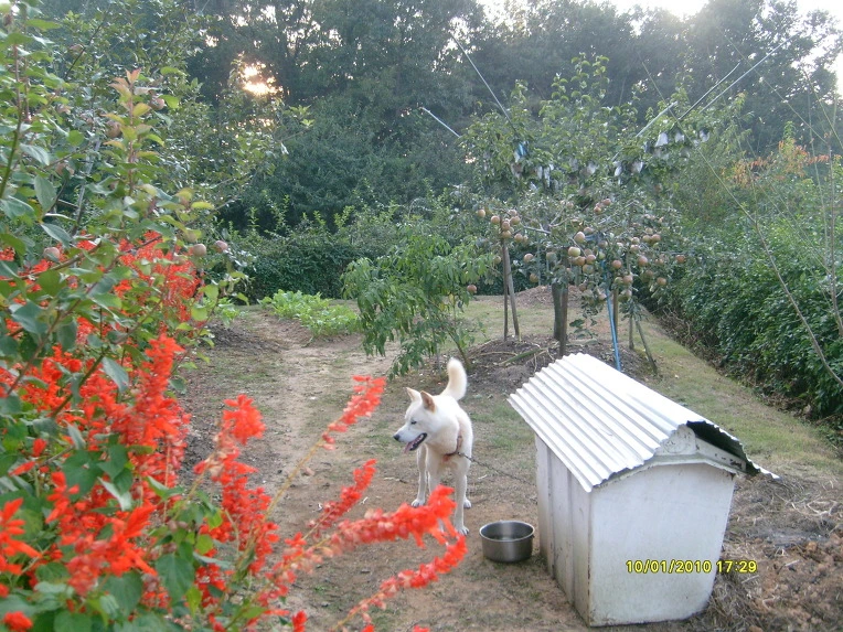 154D061C4CA5CEE0CEA43D