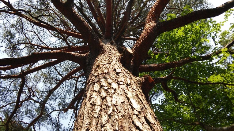 27173A3C592B40E2098982