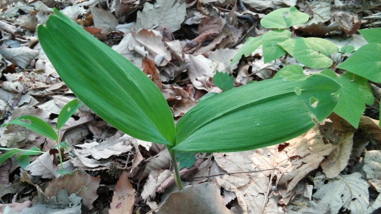 237D2B4A5722BCE3248576