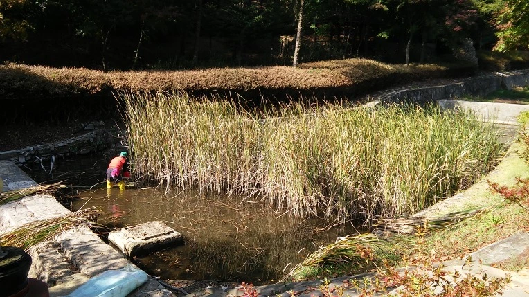 2507B84C562051941810C0