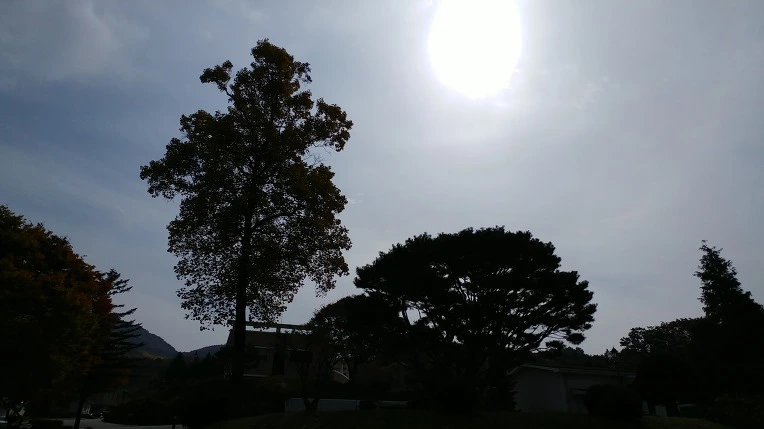 99A159365C2758B320CE06