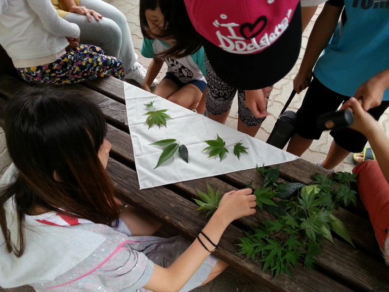 256FF43953EB273520A3D4