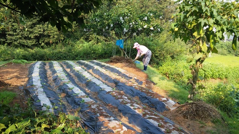 245C094457C793A02EA764