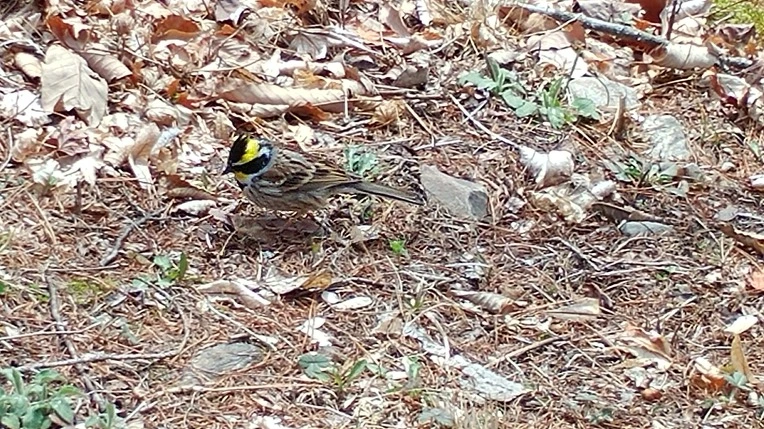 99D865425AC8A28C14C5CB