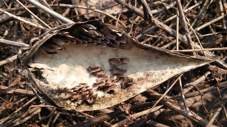 255F843556B307820FE371