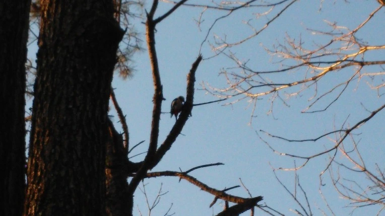 2479E03D5696EF4633B220