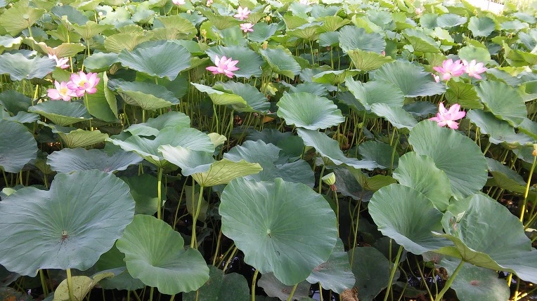 250C473D5798317C2BF9B6