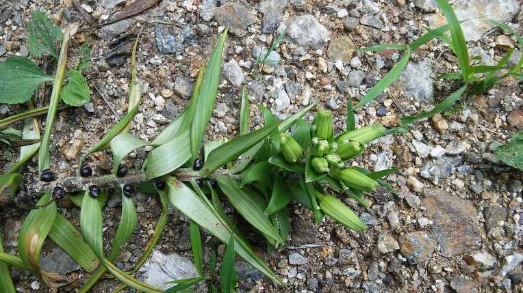 224B693359693F231C9835