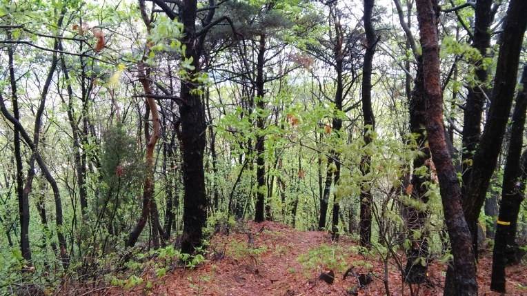 2534A3505712CCB5287623