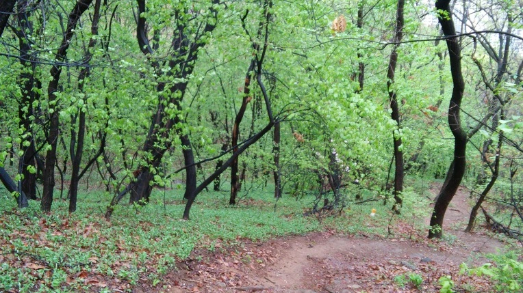 257E654A5712CDA5038055