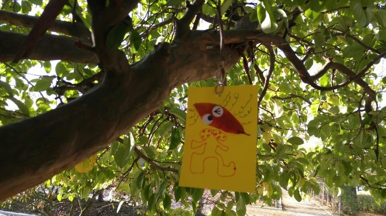 215736365630851D1EA199