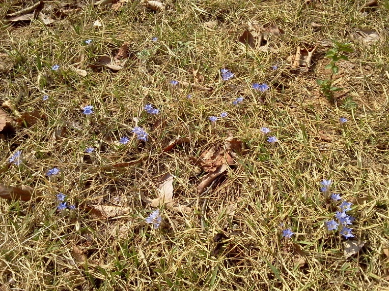 163708504ECEB8E91F6CBB