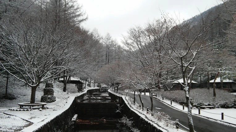 26359C395656A51D1CCF12