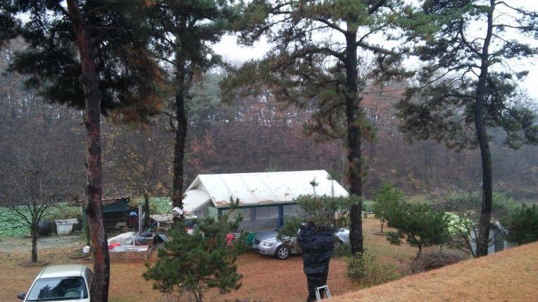 23781E48564999B511C746