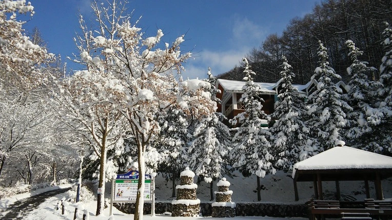 270B6544566120F00667BC