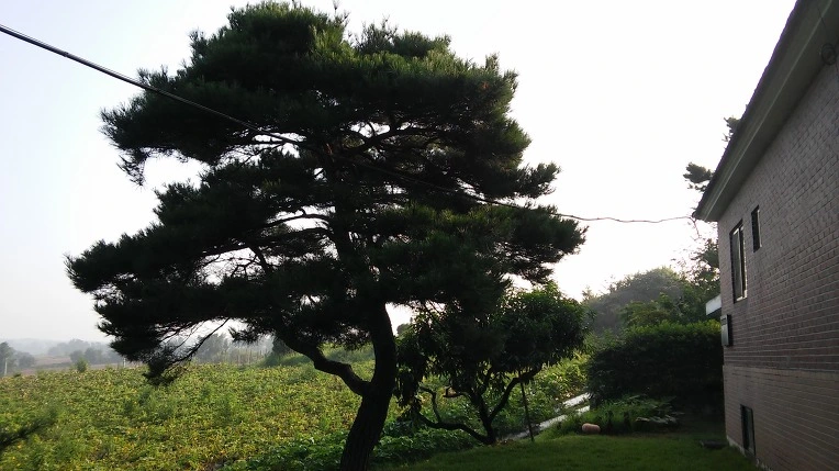 2760473B57BBA9FB12B7B7