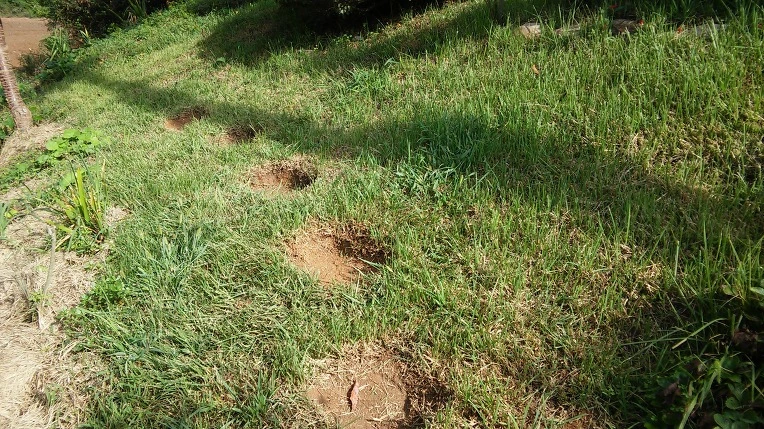 2708CE4957CA2332106B5E