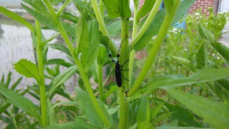 22156B42574634010EBDB1