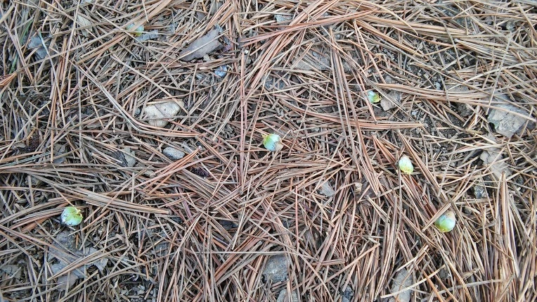 240F8E3B56F3913406F7D5