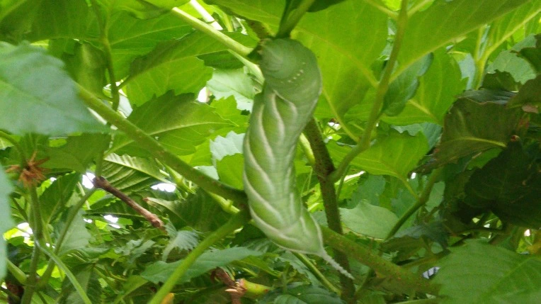 246D223C57BFDE5C1A30F1