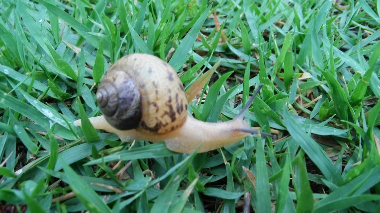 22561B4D577B3AD930D186