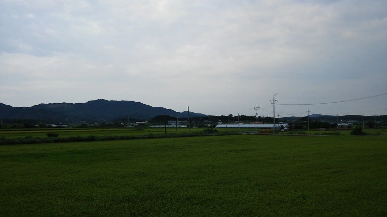 2363854257BCEB4F36561D