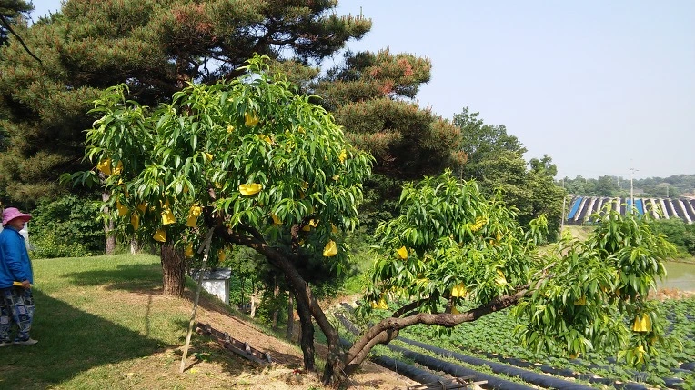 2569FF3E574E50670100BA