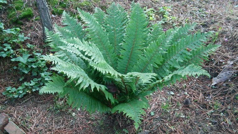 246C7E34572E67442D72BD