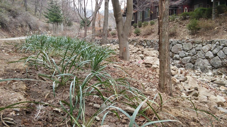 2148834356F4DCF2395DCD