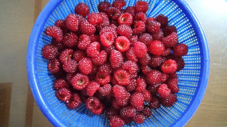 232D263F5756175B1D0FCE