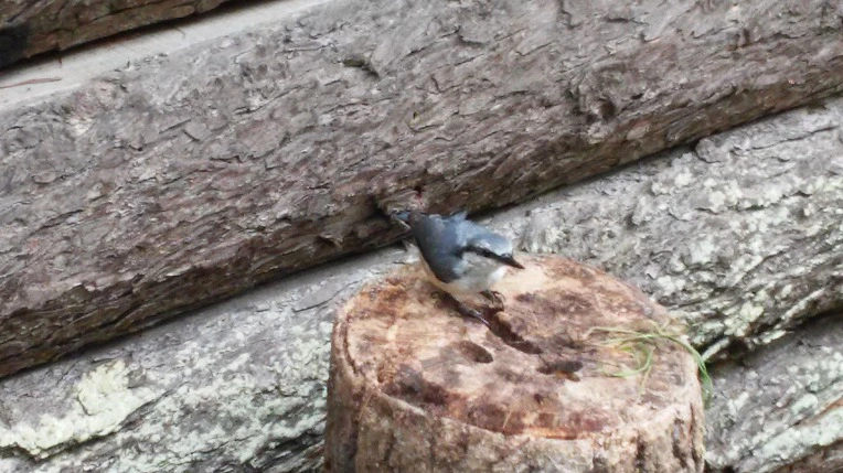 9949C4335984F8821679E2