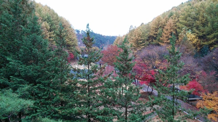 211CC833563D84CC0C7E9A