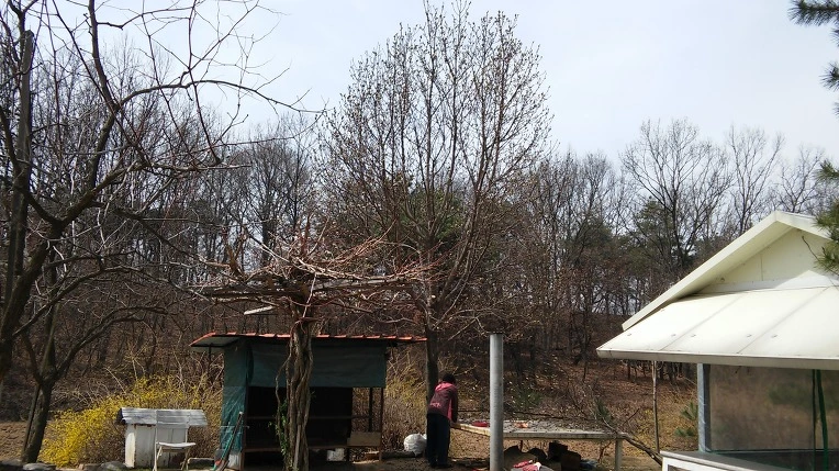 2610144056FC96E734B14A