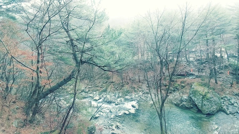 9995FE3A5E7D5D0131291C